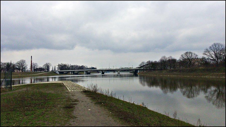 Widok na Mosty Warszawskie