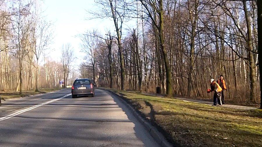 Porządki w parku w Zabrzu