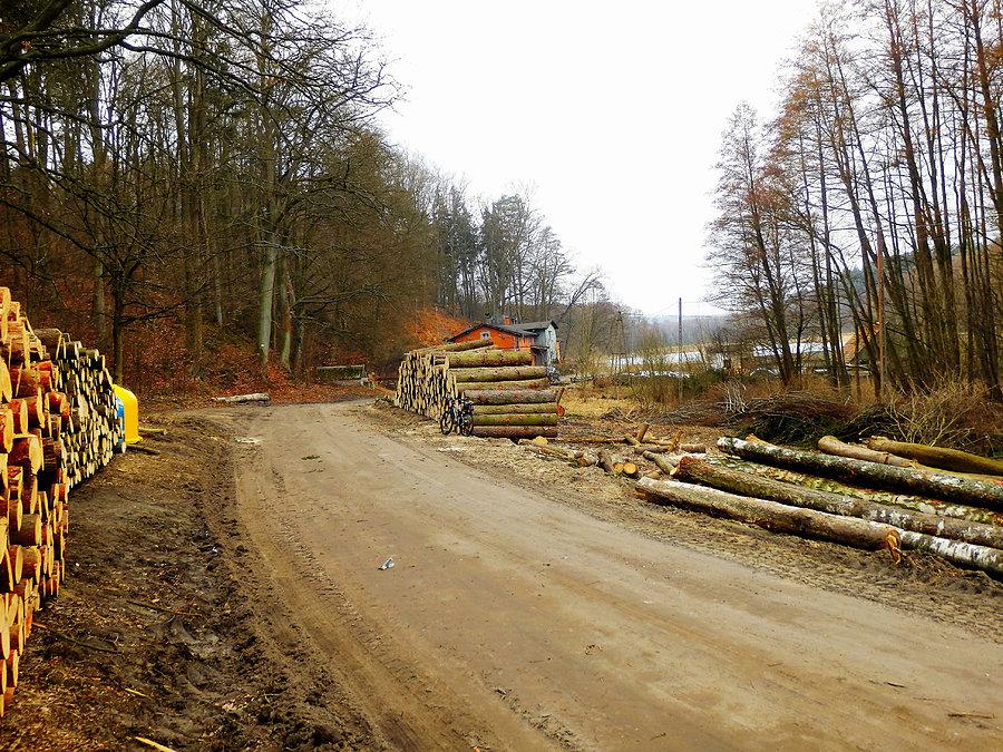 Niedziela na rowerku - Kociewie