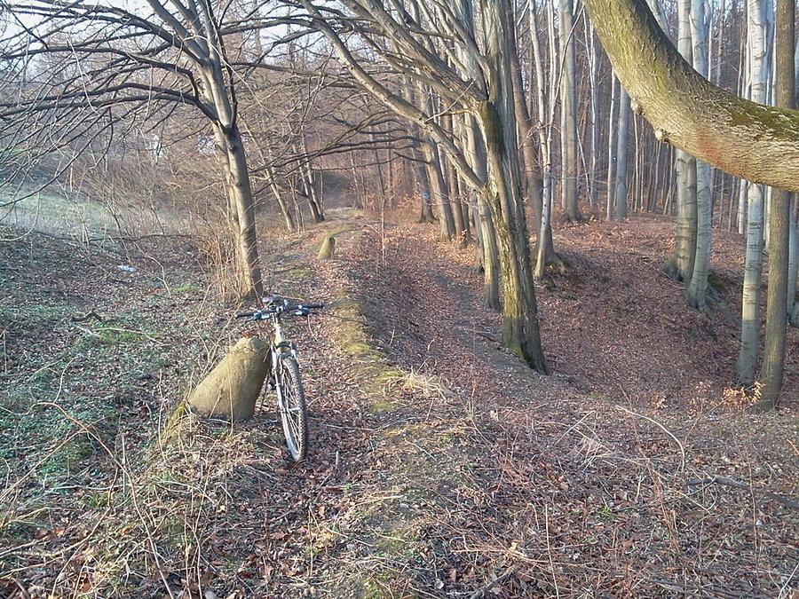 Relikty dawnej drogi Hażlach - Cieszyn w lesie Parchowiec