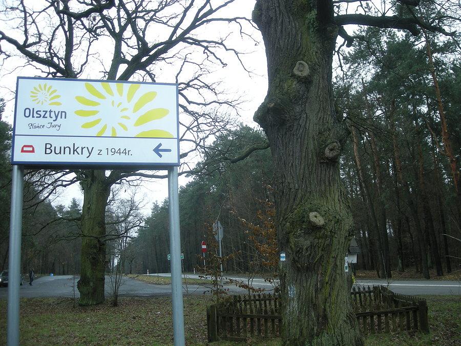 Jest już znak. Tu powstaje ścieżka dydaktyczna