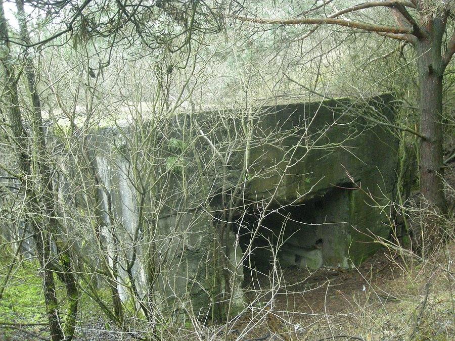 Regelbau 701 (schron bierny dla armat polowych) w okolicach Przymiłowic