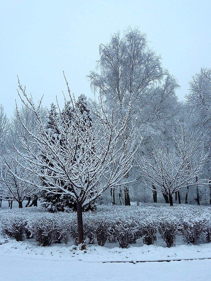 Jednodniowa zima na Promenadzie Czesława Niemena V