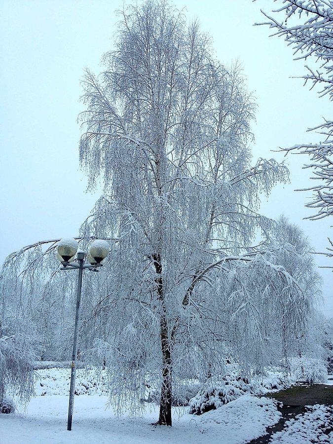 Jednodniowa zima na Promenadzie Czesława Niemena III