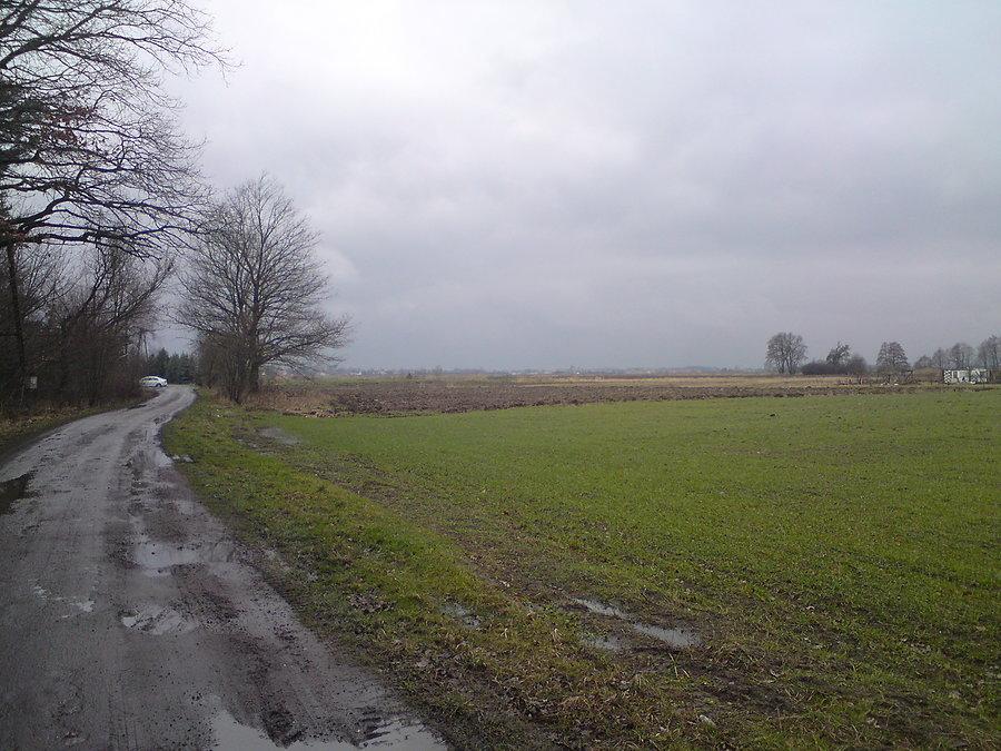Szaro, buro i ponuro; błoto, wiatr