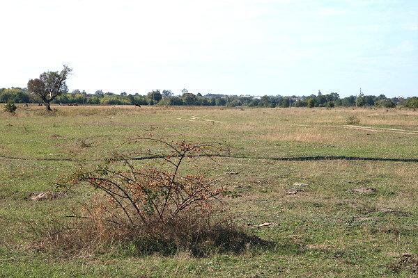 Pastwiska nad Ratą
