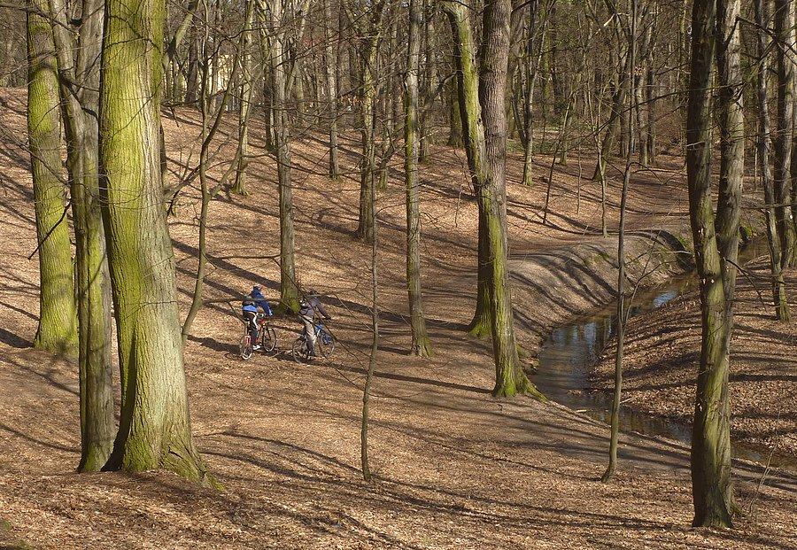 Park w Podkowie Leśnej