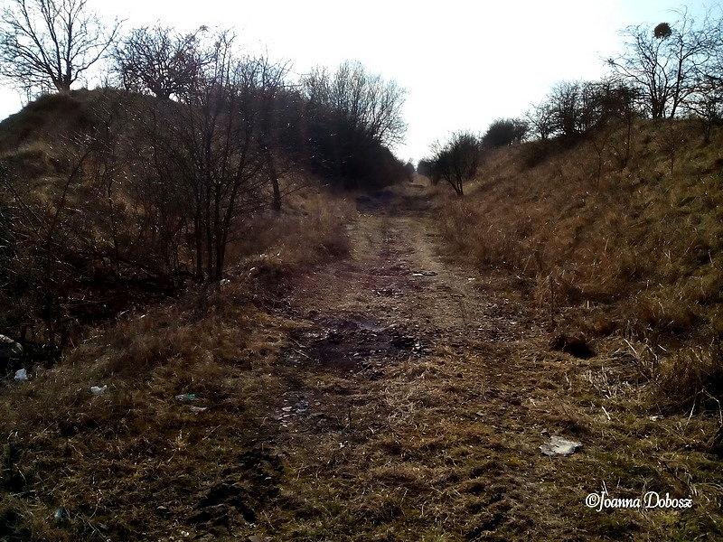 Trasą zwiniętych torów - Sobowidz-Gołębiewko