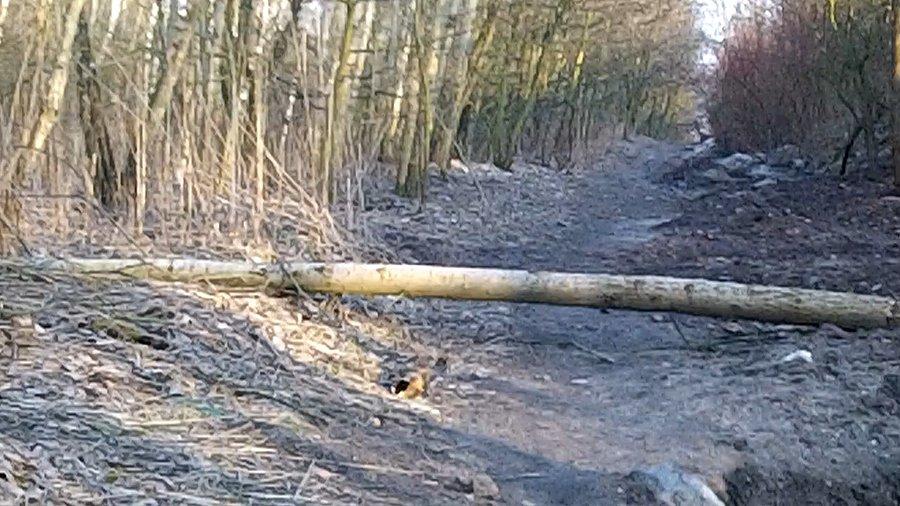 Na hałdzie w Sośnicy trochę niespodzienek