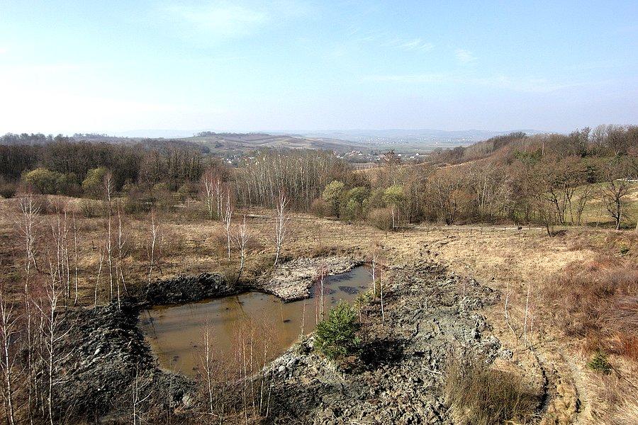 Widok ze skarpy w rezerwacie Skarpa Jaksamicka