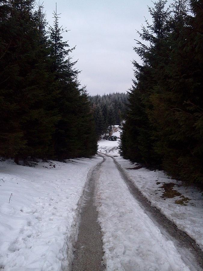 Na zjeździe