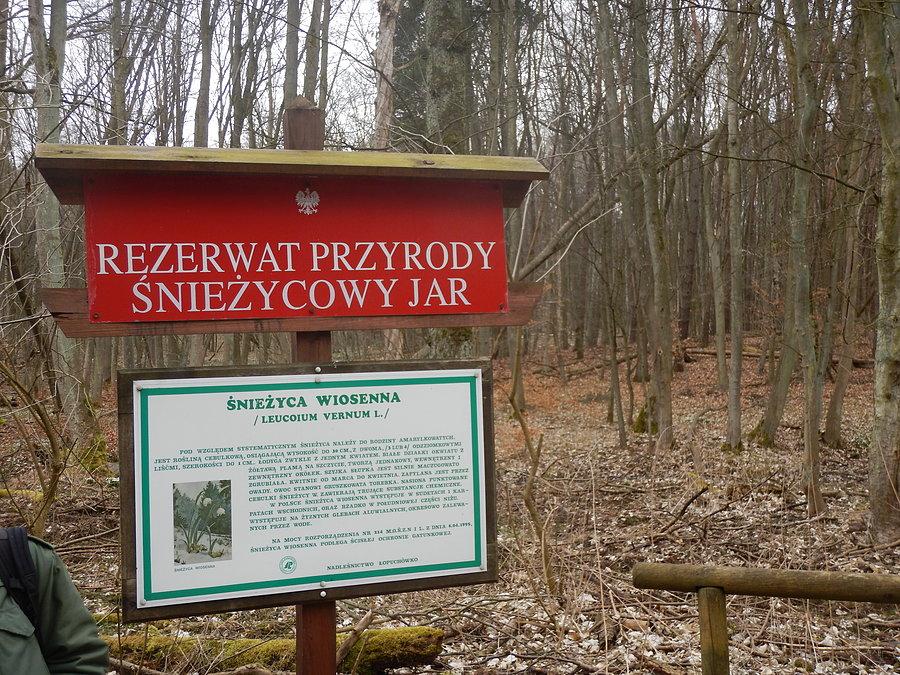 Rezerwat "Śnieżycowy Jar"
