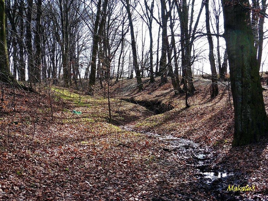 Trasa "MTB" w Jaśkowicach koło Pyskowic