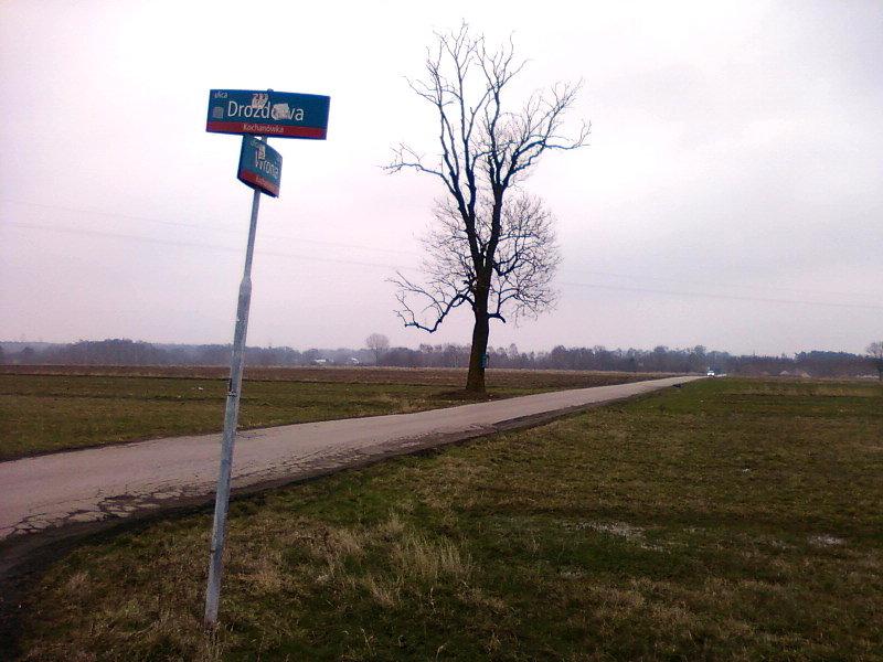 Drozdowa / Wronia