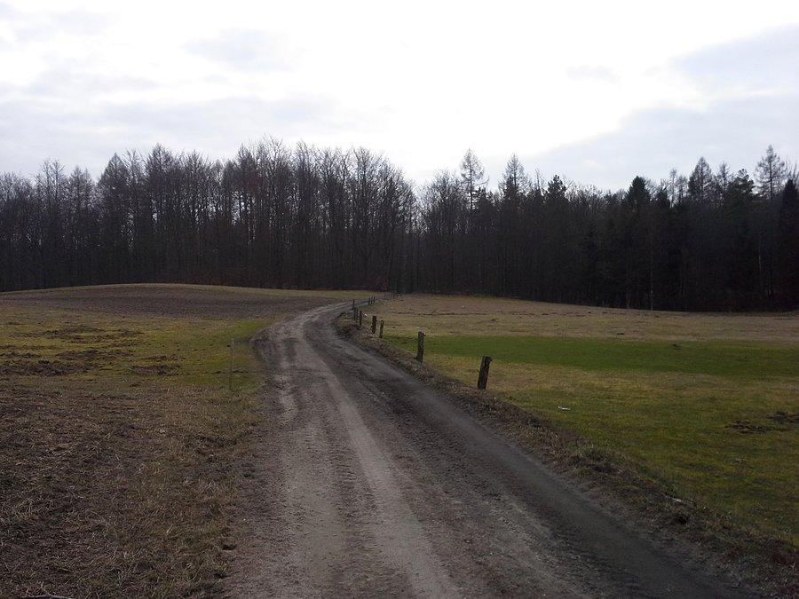 Ciąg dalszy rozgrzewki