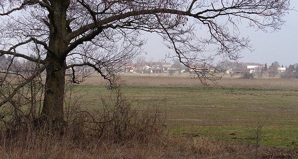 Surmacze. Panorama na Styrzyniec