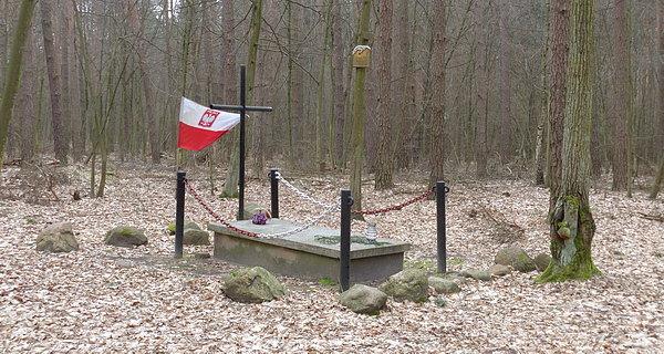 Mogiła pilota Tadeusza Sobola z RWD-8 53 zestrzelonego 11 września 1939 roku