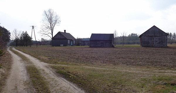 Końce k/Dołha. W kierunku stacji kolejowej Sokule