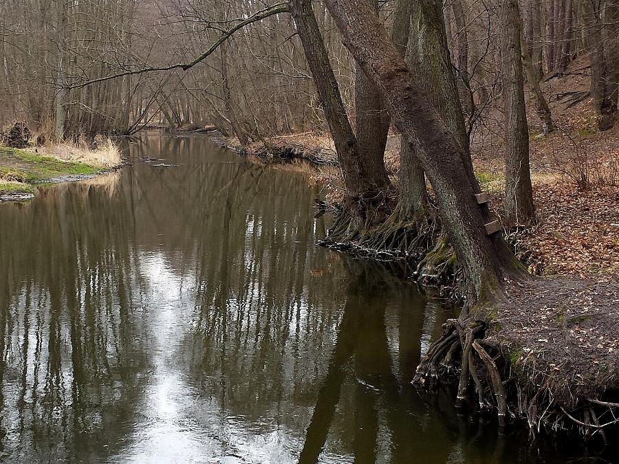 Rzeka Płonia w okolicy dojazdu pozarowego 47