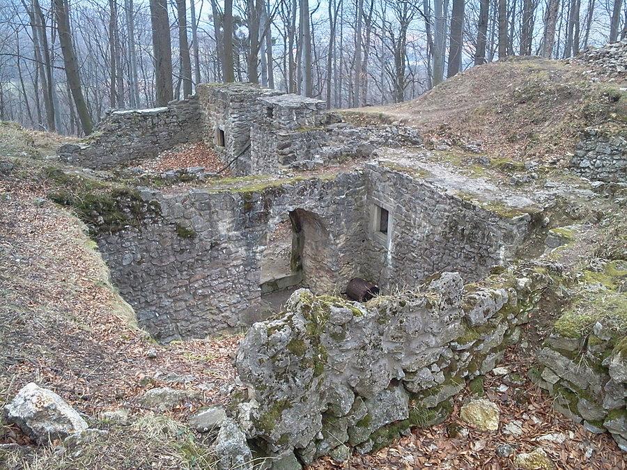 Sostyn ruiny zamku