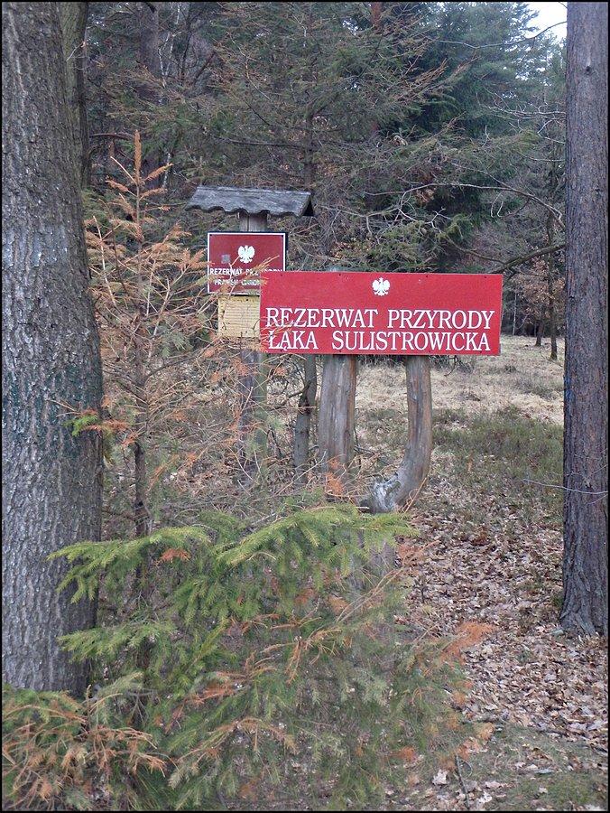 Łąka Sulistrowicka RP
