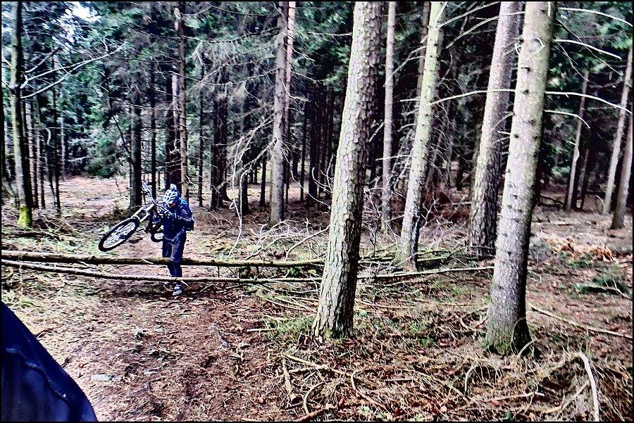 Znów wypych