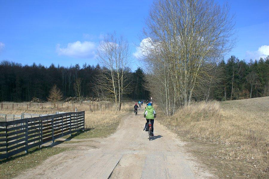 Polną drogą nad jezioro