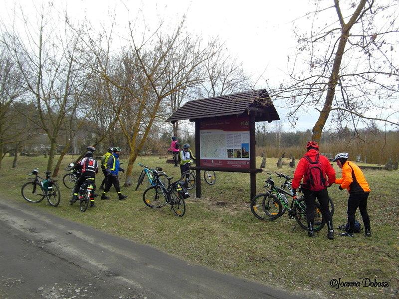 Cmentarz mennonicki w Barcicach