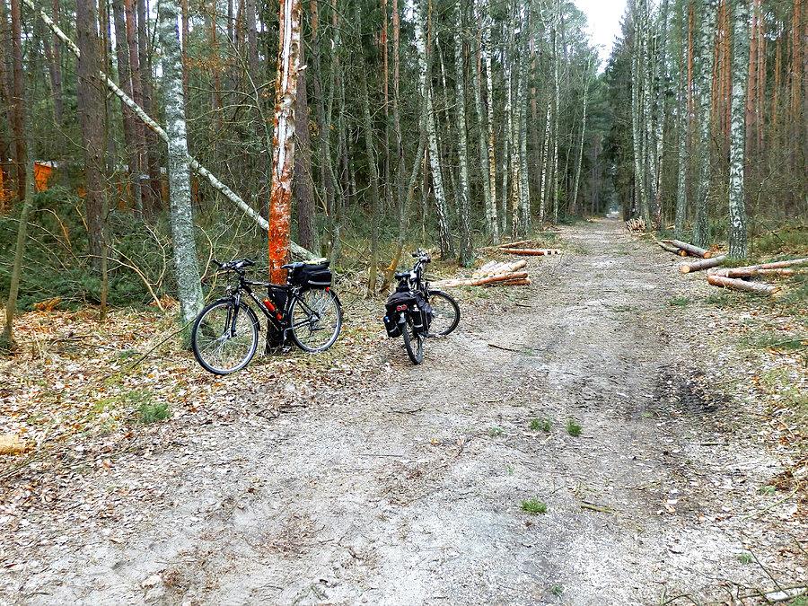 Wracamy do Tczewa