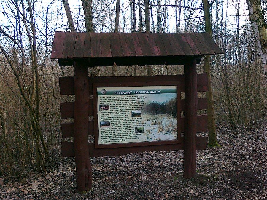 " Łosiowe błota"