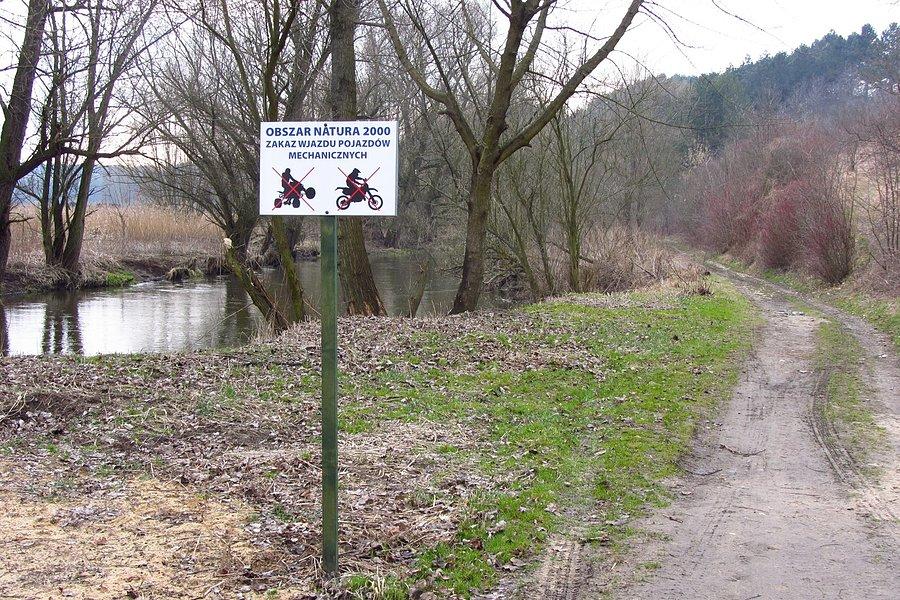 Słuszny zakaz