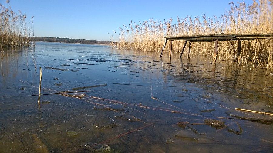 Zamarznięte Regielskie