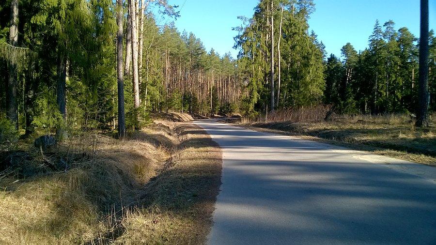 Autostrada do nadleśnictwa