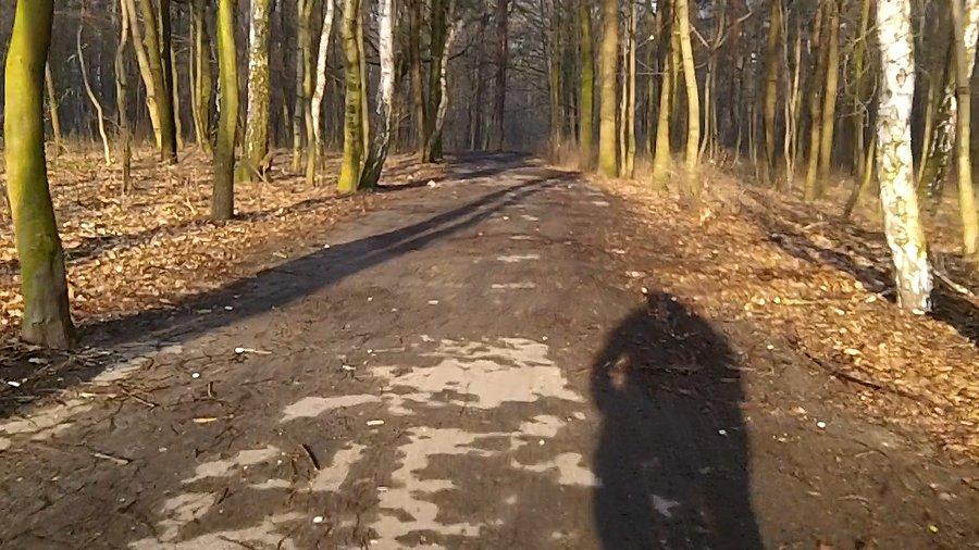 W Lasku Makoszowskim