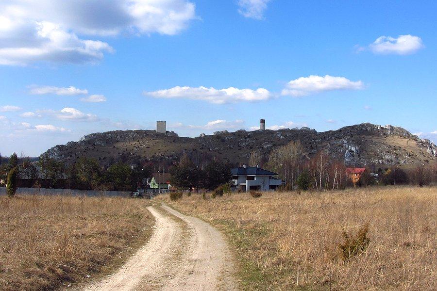 Widok na zamek