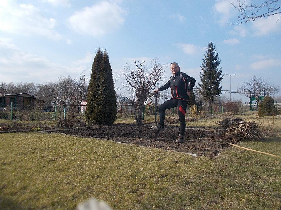 Darecki na ugorze