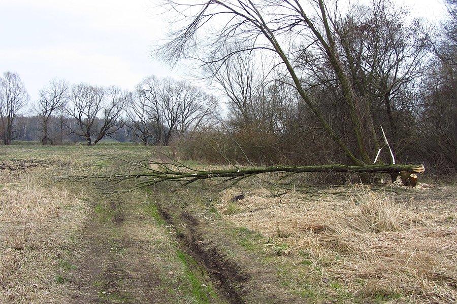 Nie tylko ja nie chcę w terenie pojazdów mechanicznych