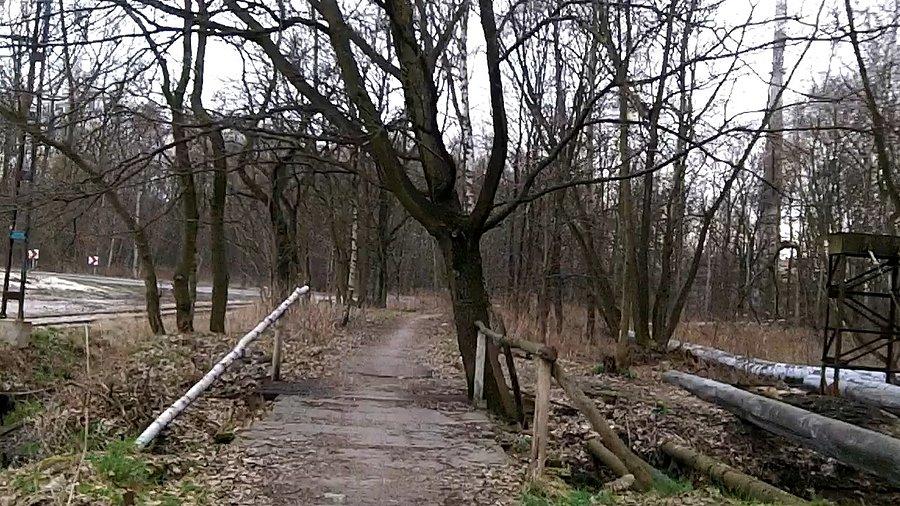 Mostek na potoku Bielszowickim w Zabrzu