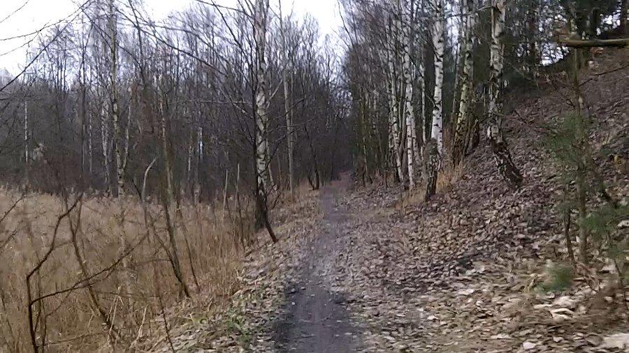 Wzdłuż nasypu kolejowego