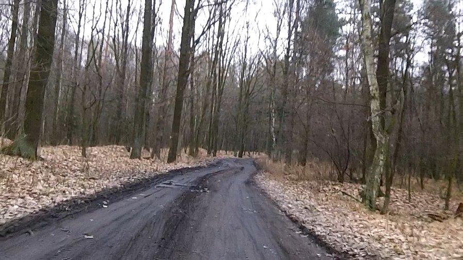 Ścieżki w całkiem przyzwoitym stanie