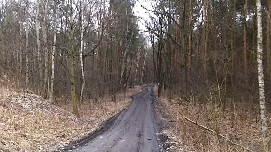 A droga długa jest