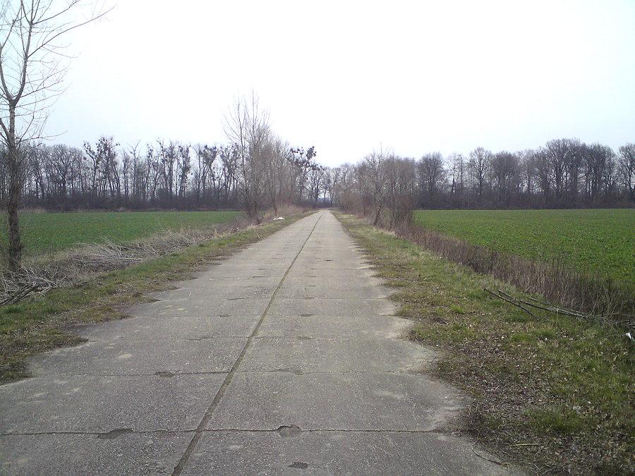 Wykarczowali betonówkę