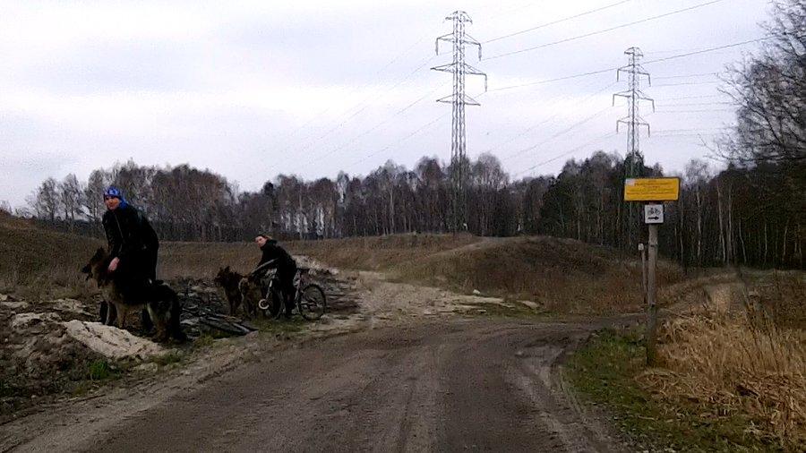 Bikejoring