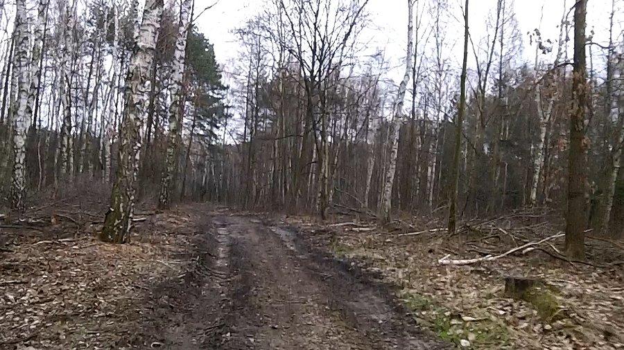Po wycince ścieżki strasznie poorane