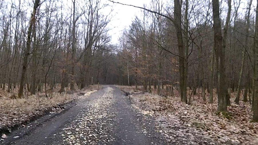 Nieco dalej za to coś bardziej utwardzonego