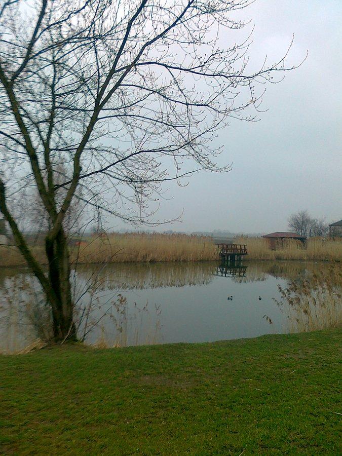 Inny, ale zawsze staw