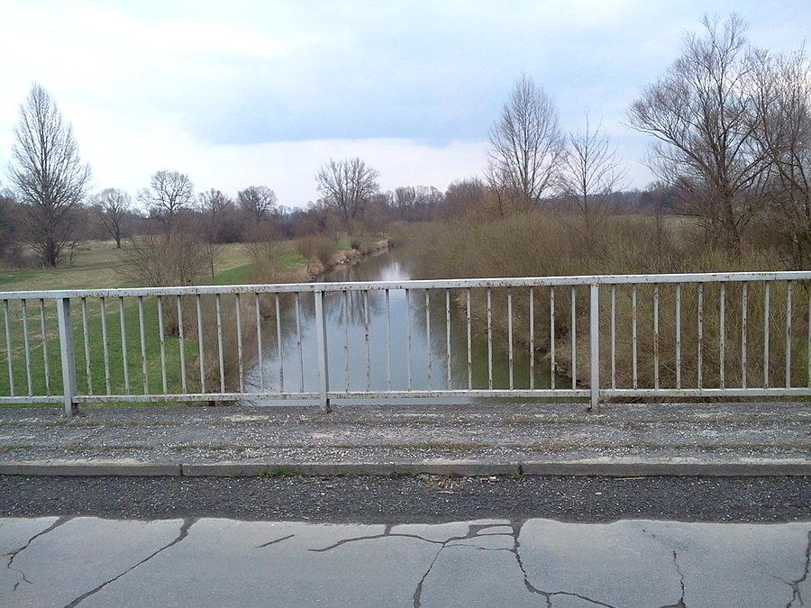 Rzeka Odra