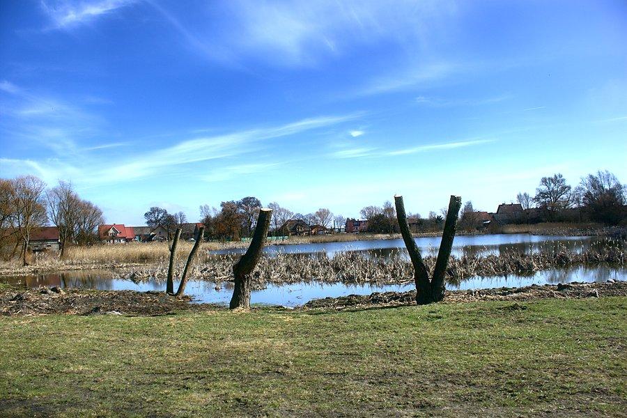 Staw w Grzędzicach