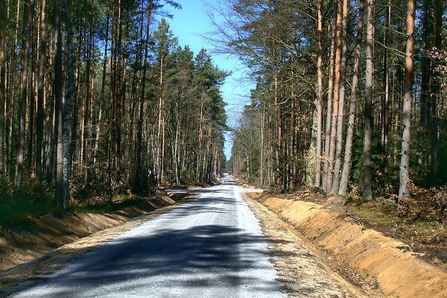 Droga pożarowa do Bącznika