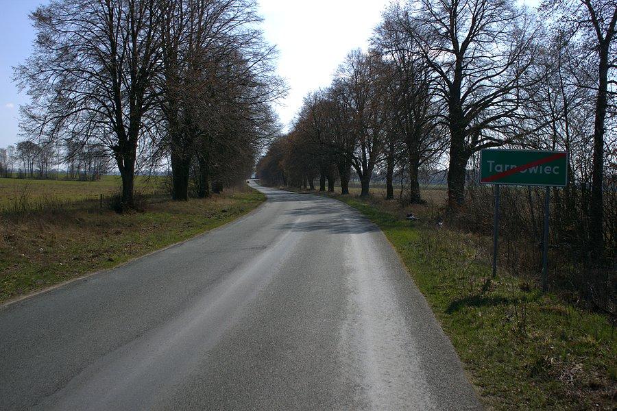 W drodze powrotnej